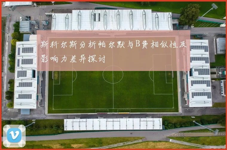 斯科尔斯分析帕尔默与B费相似性及影响力差异探讨